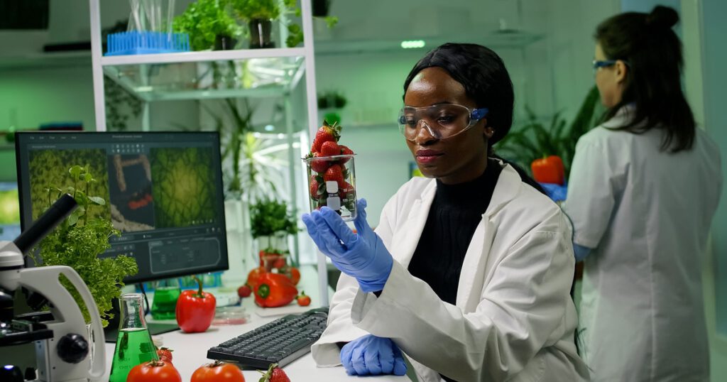 Nahrungsmittelforscherinnen bei der Arbeit